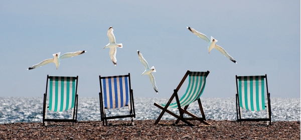 Urlaubspartner Suche